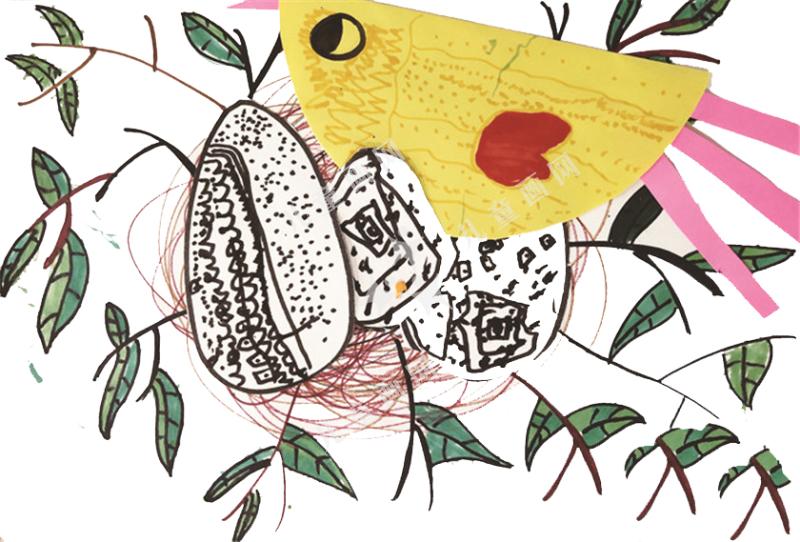 鸡妈妈与鸡宝宝