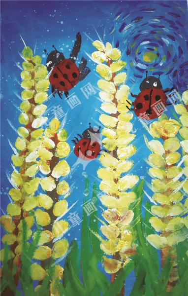 麦田与瓢虫的故事