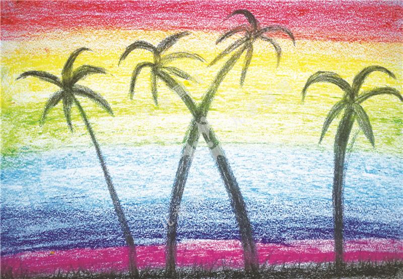 彩虹下的椰子树