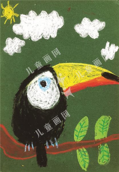巨嘴鸟