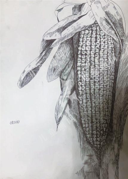 老玉米