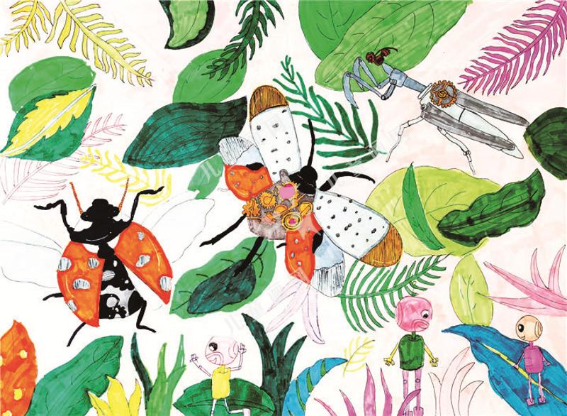 奇妙的昆虫世界