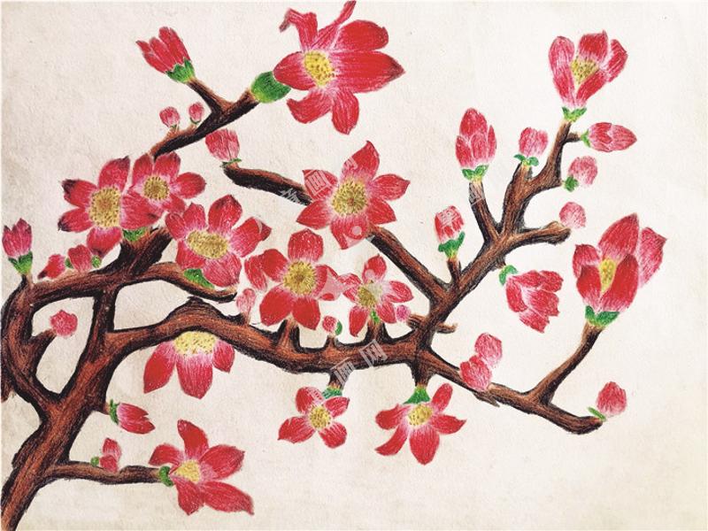 锦上花开