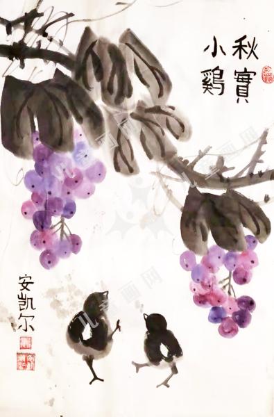 秋实小鸡