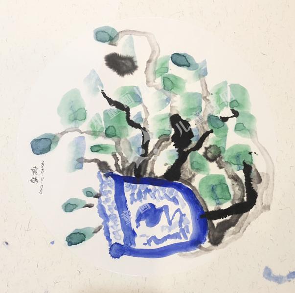 铜钱草