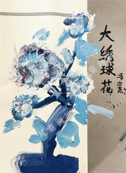 大绣球花