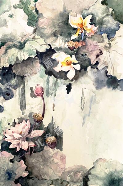 莲