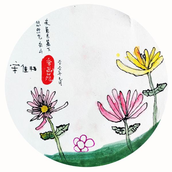 菊花