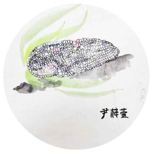 玉米