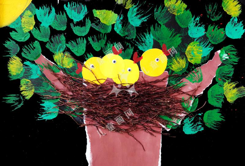 我给小鸟安个家