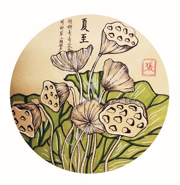 夏至·莲蓬