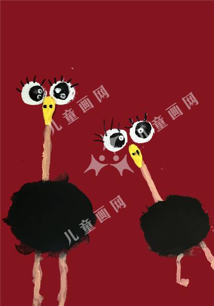 可爱的鸵鸟