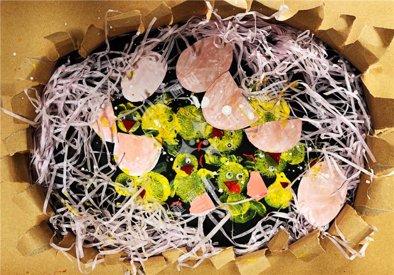 小鸡宝宝破壳啦