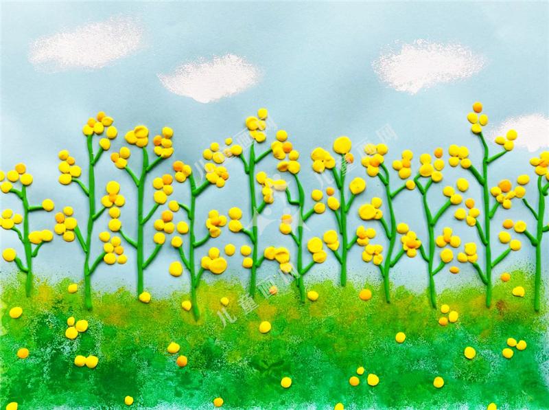 油菜花开