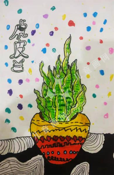 虎皮兰