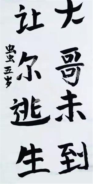 彭德怀团结村战斗节选