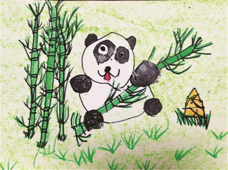 可爱的大熊猫