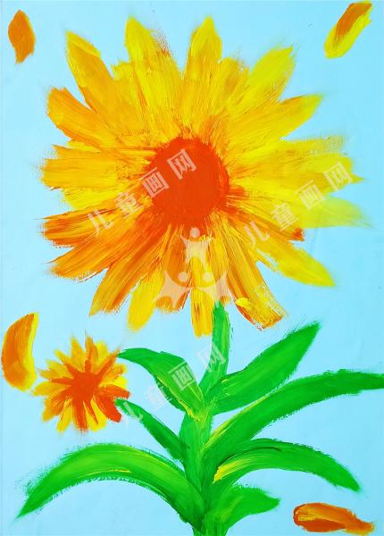 太阳花