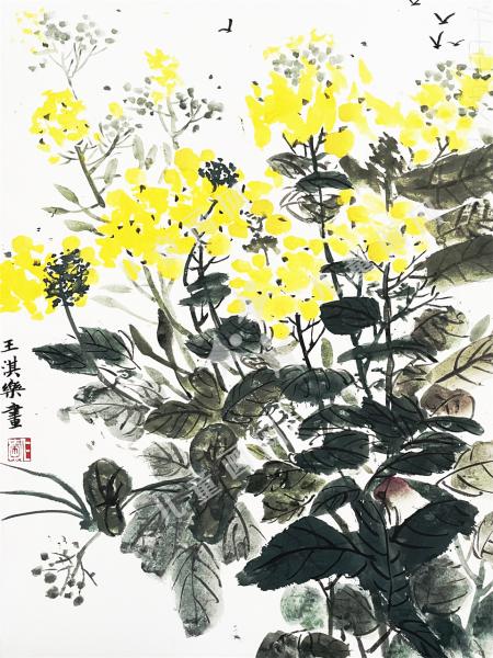 油菜花