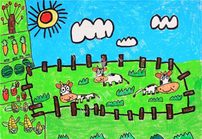 牧场里的小奶牛
