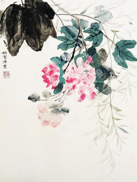 芙蓉