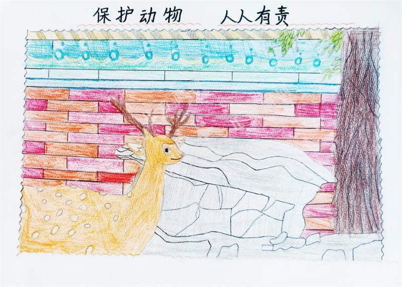 保护环境，人人有责