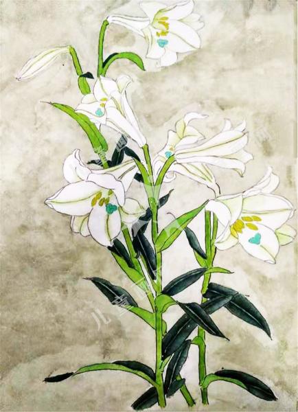 百合花