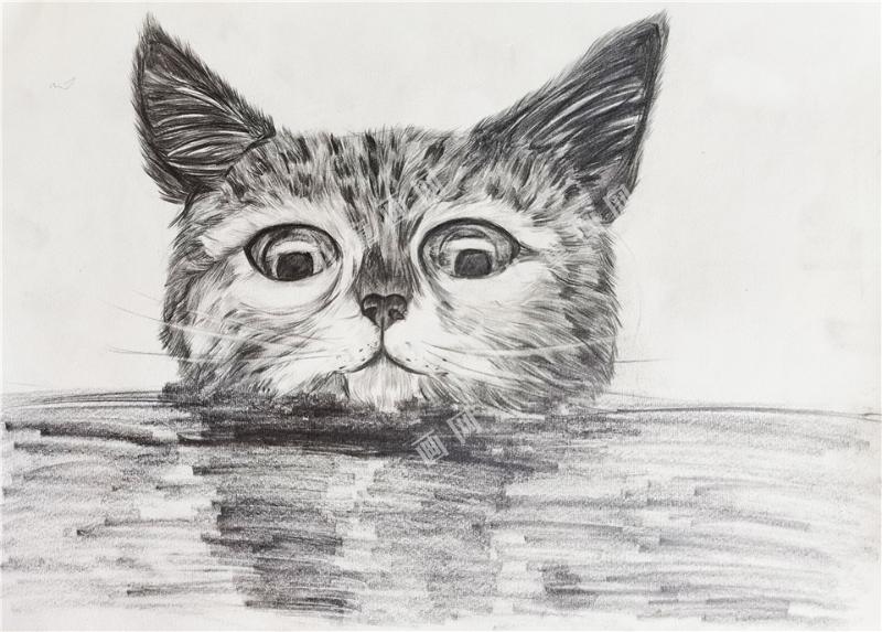 素描——猫