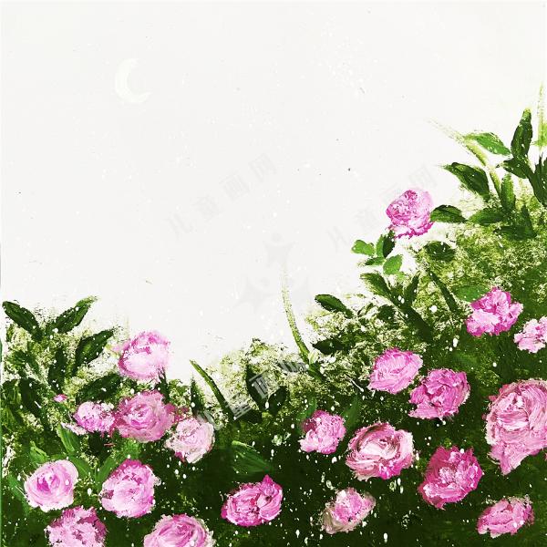 夜蔷薇
