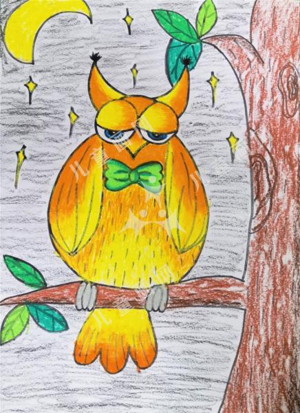 猫头鹰