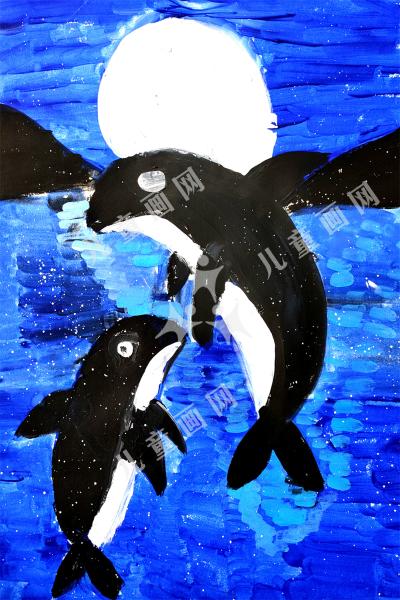 海豚