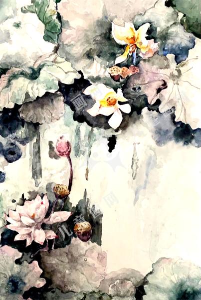 莲