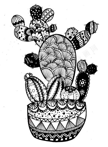 仙人掌