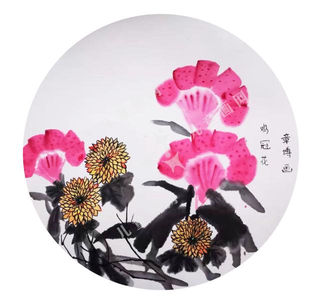 鸡冠花