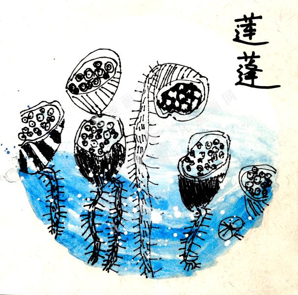 莲蓬