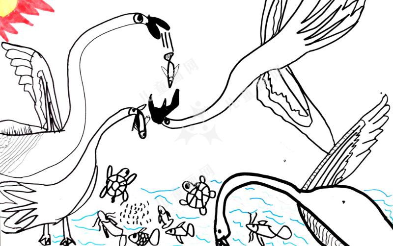 天鹅的美味大餐