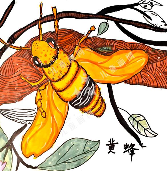 黄蜂