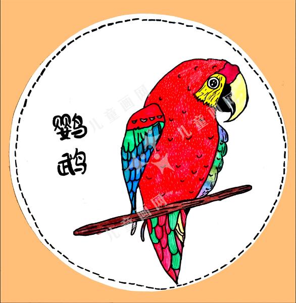 鹦鹉