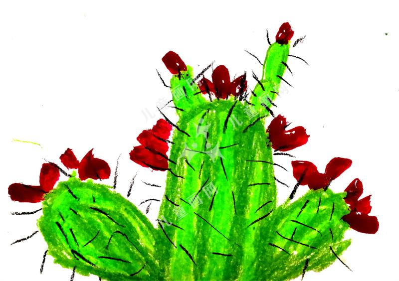 仙人掌花开了