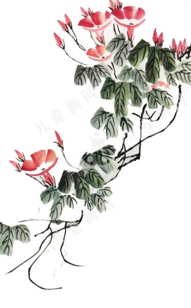 花开富贵