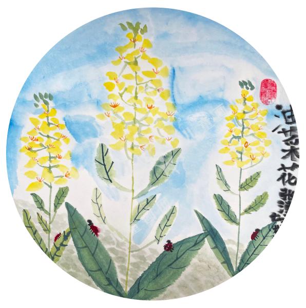 油菜花