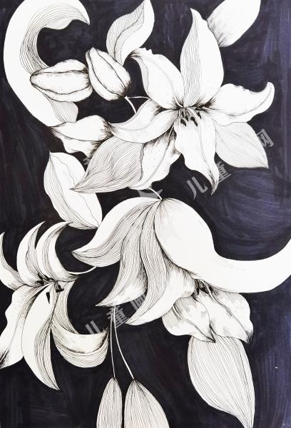 百合花