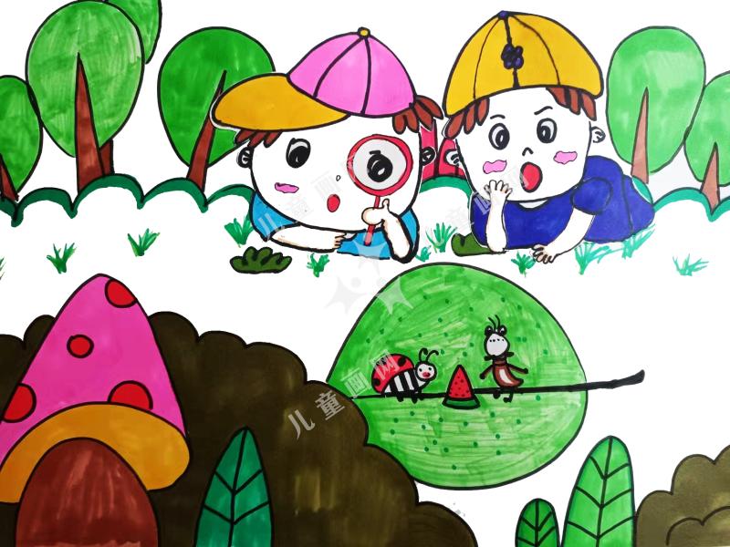 蚂蚁和西瓜虫