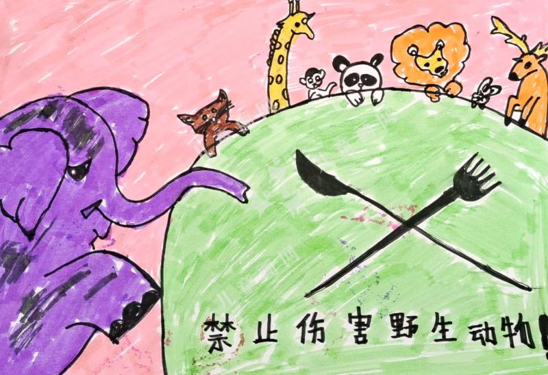 野生动物是我们的伙伴