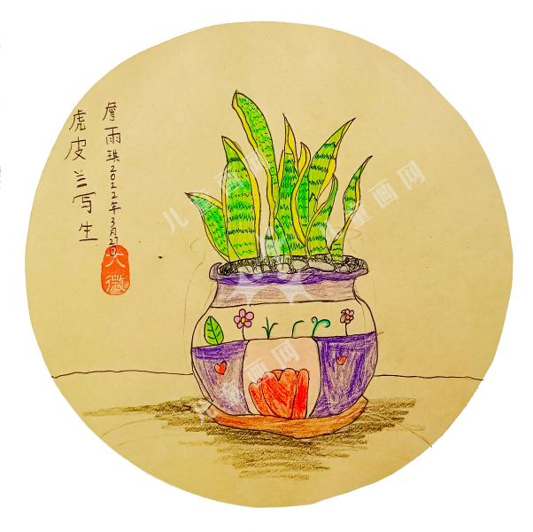 虎皮来