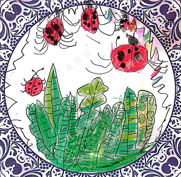 草丛里的七星瓢虫