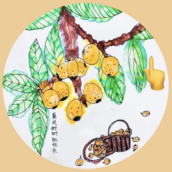 好吃的枇杷