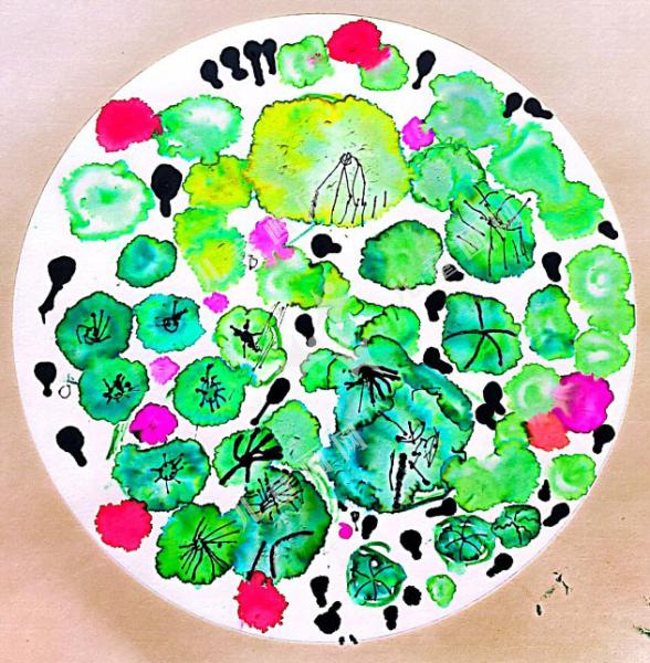 池塘里的小蝌蚪