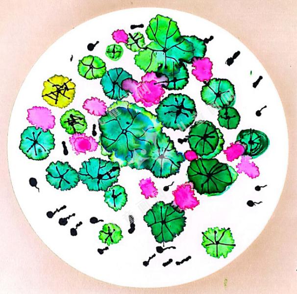 池塘里的小蝌蚪