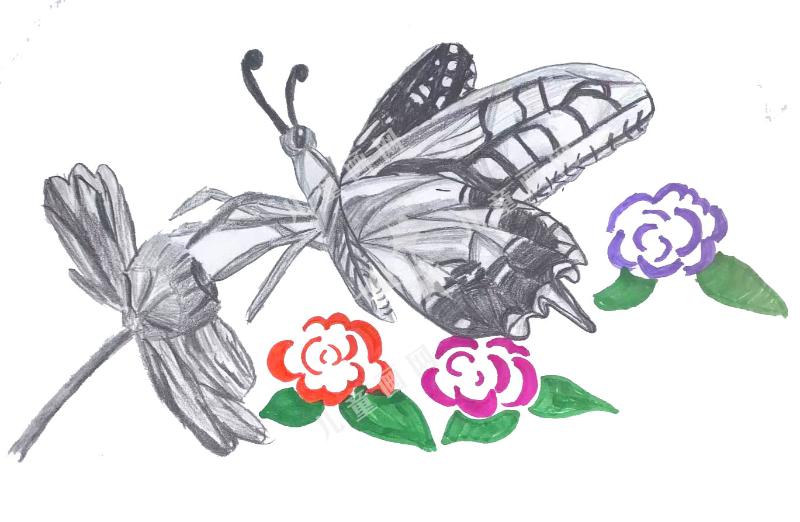 蝴蝶与花